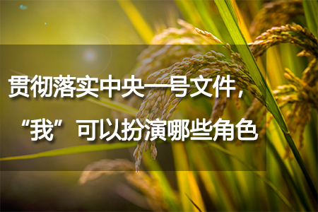 貫徹落實(shí)中央一號(hào)文件，“我”可以扮演哪些角色？